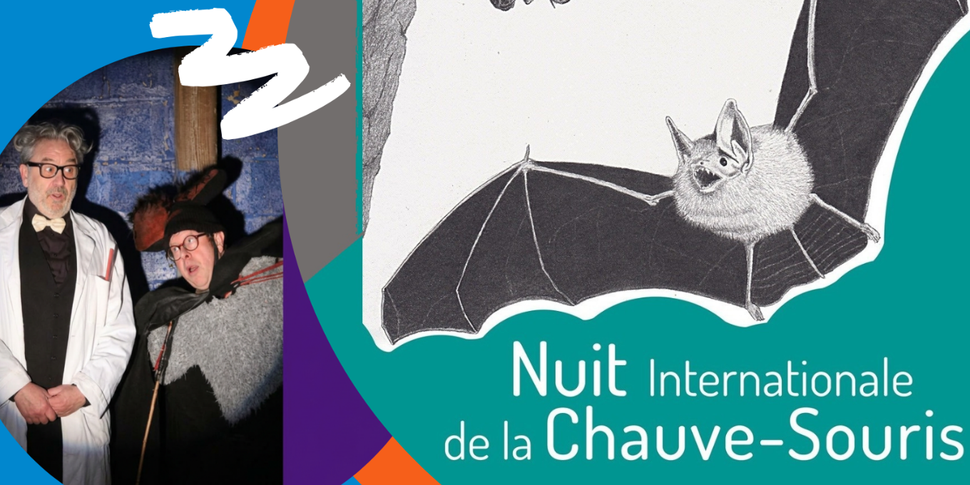 Des Etoiles et des Chauves-souris - Nuit Internationale de la Chauve-souris